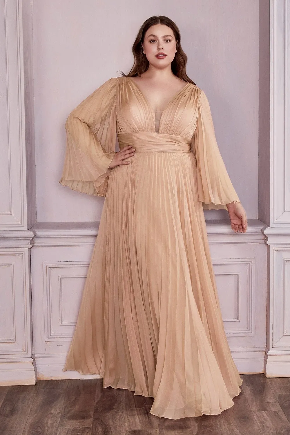 Plus Size Chiffon Prom Dress w/ Long Sleeve, V-neck, A-line & Pleats