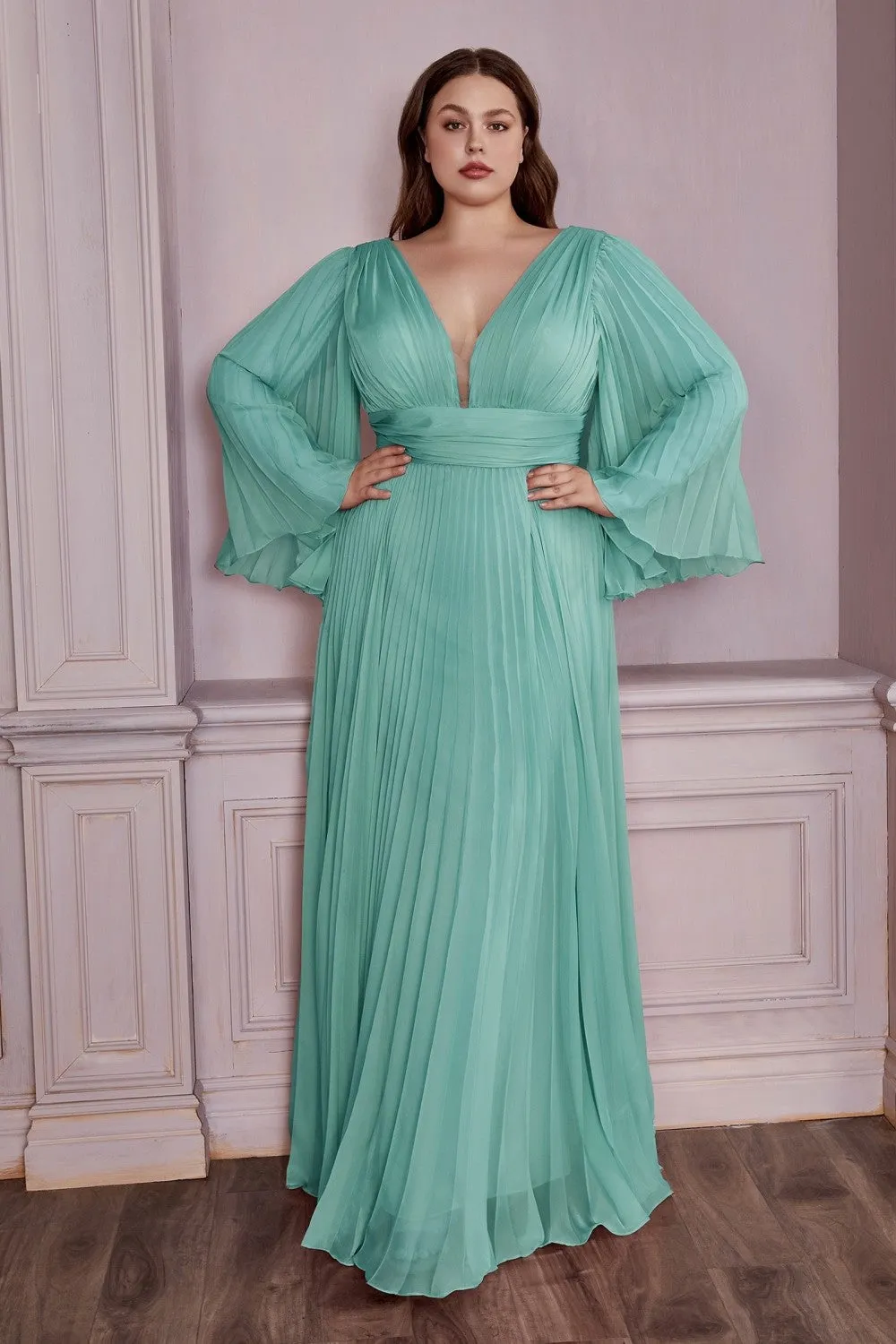 Plus Size Chiffon Prom Dress w/ Long Sleeve, V-neck, A-line & Pleats