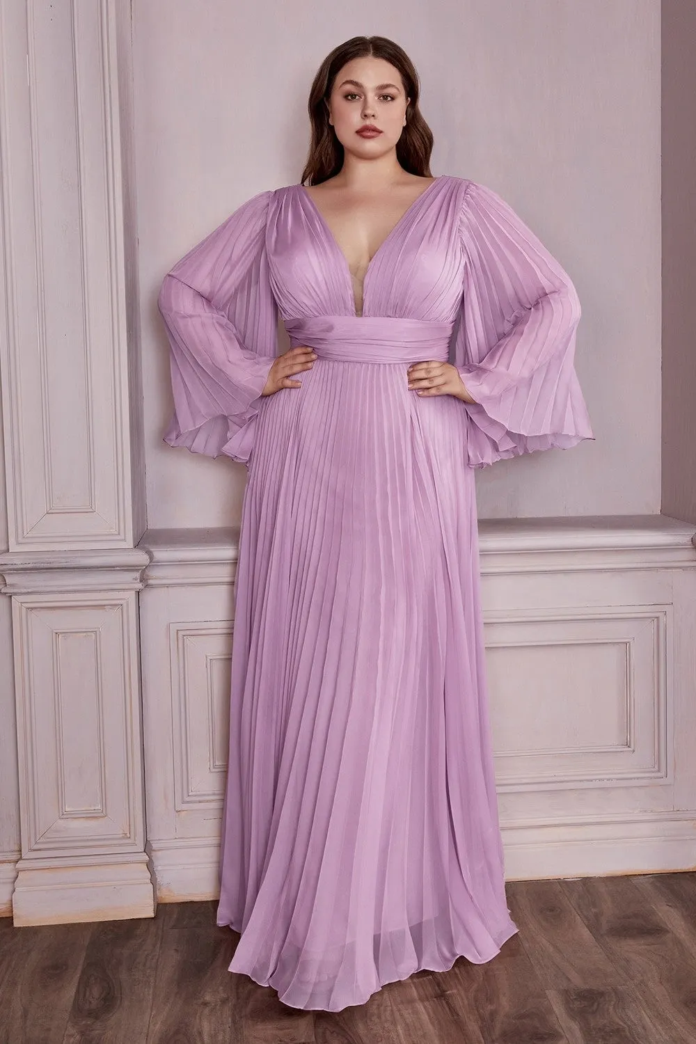 Plus Size Chiffon Prom Dress w/ Long Sleeve, V-neck, A-line & Pleats