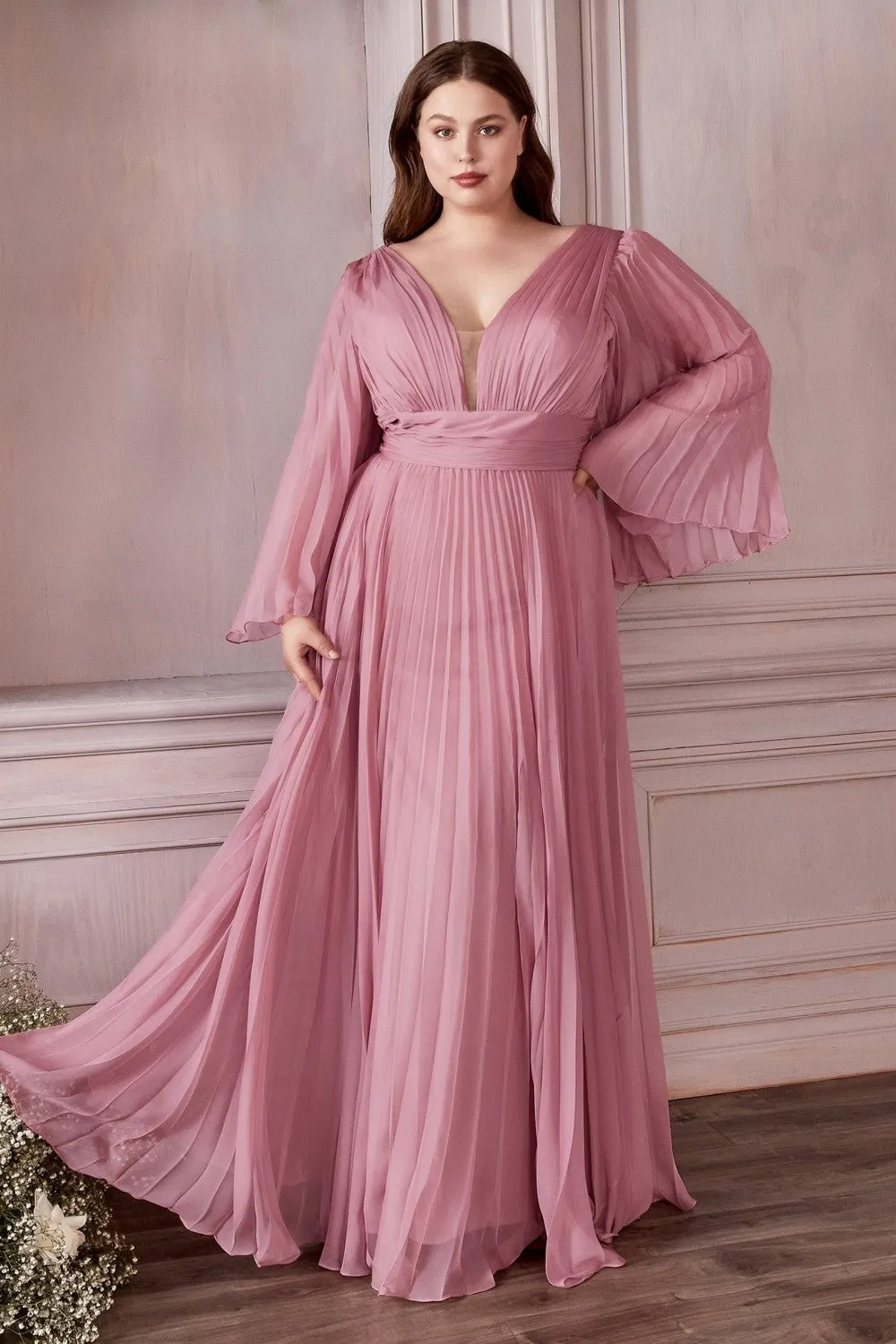 Plus Size Chiffon Prom Dress w/ Long Sleeve, V-neck, A-line & Pleats