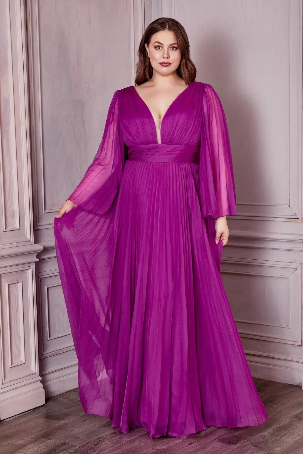 Plus Size Chiffon Prom Dress w/ Long Sleeve, V-neck, A-line & Pleats