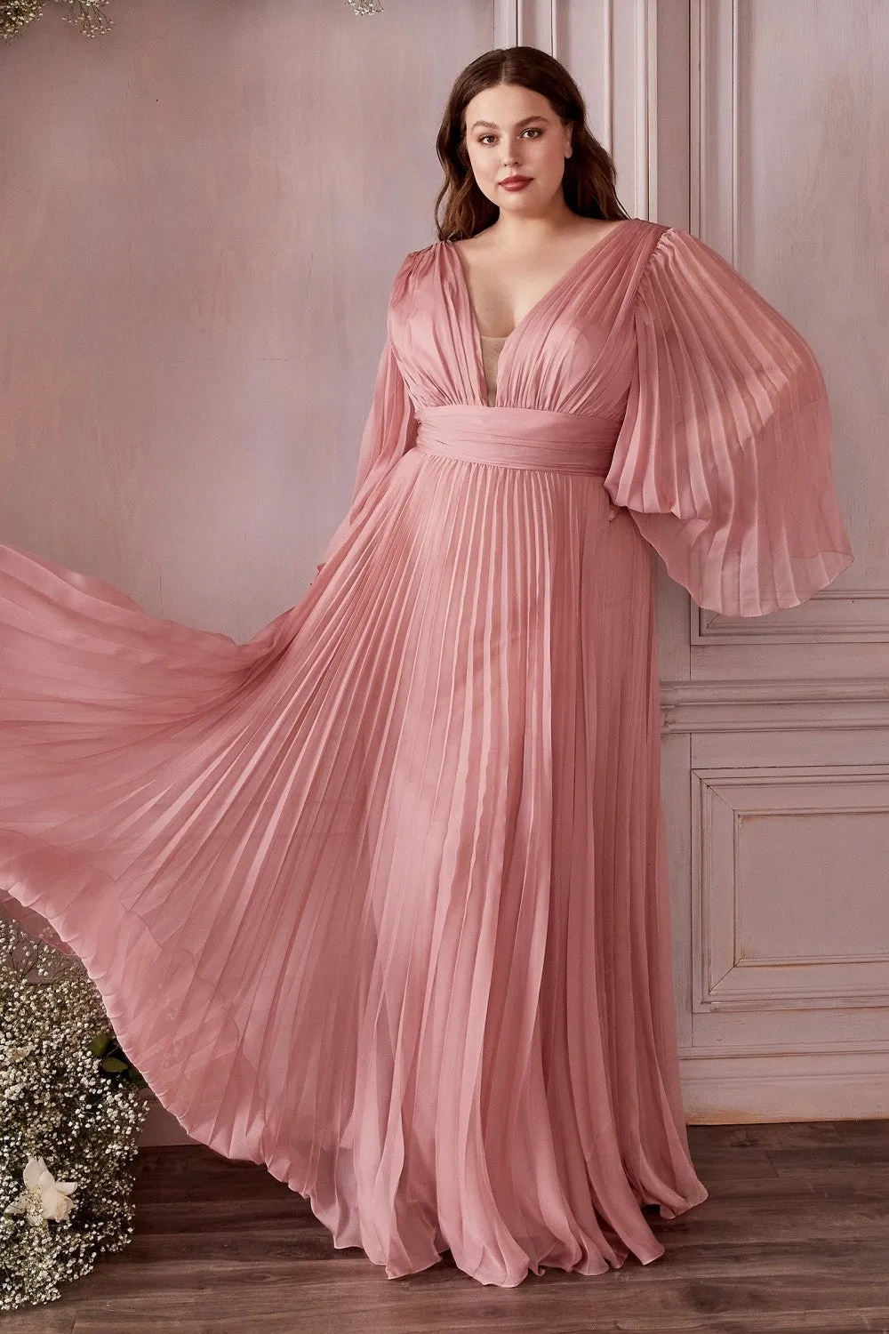 Plus Size Chiffon Prom Dress w/ Long Sleeve, V-neck, A-line & Pleats