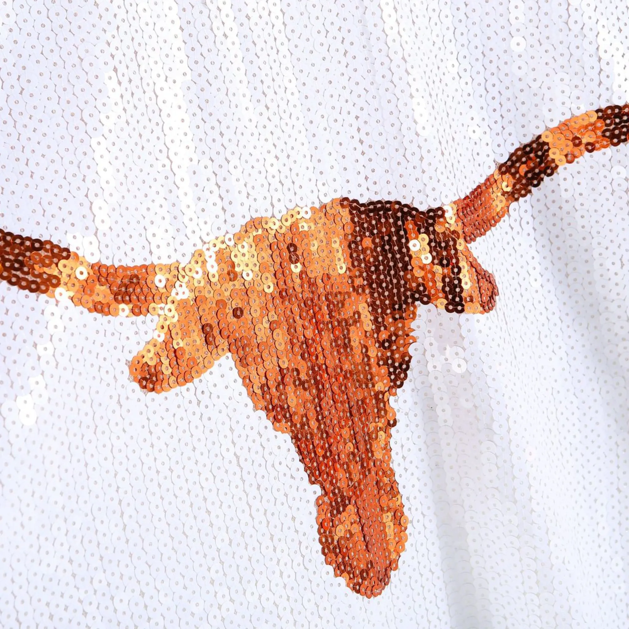 Pre Order:  Sequined Longhorn Colorblock Jersey