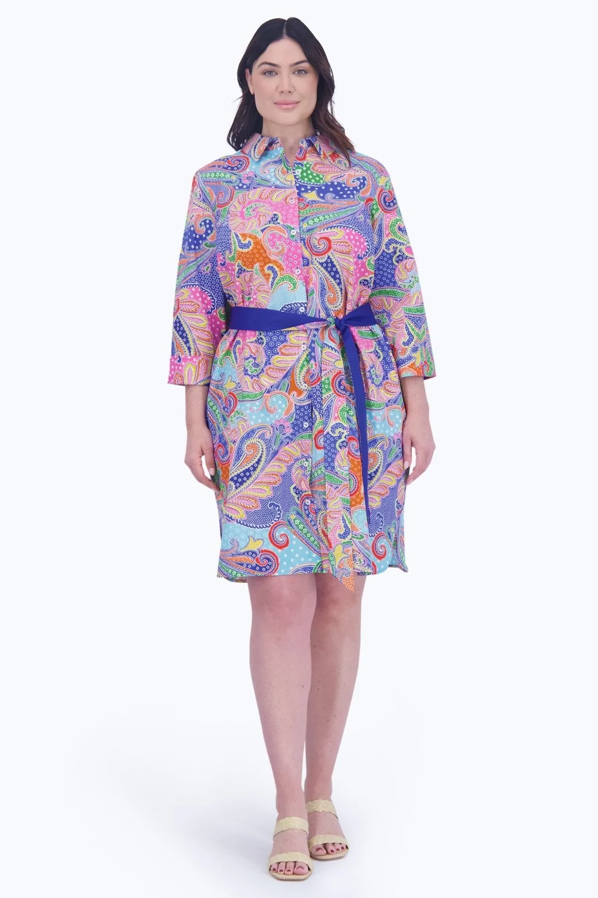 Rocca Plus No Iron Multicolor Paisley Dress